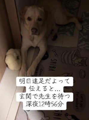 なんとか就寝
