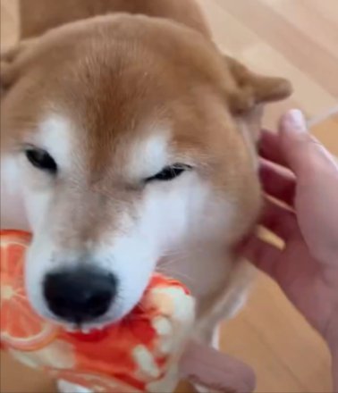 ビフォー