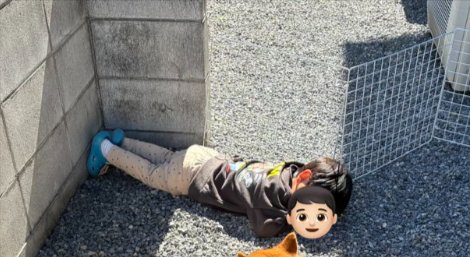 息子くん