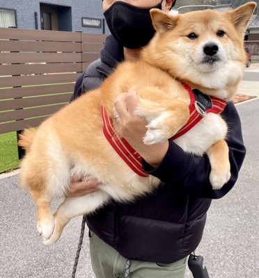 固まる