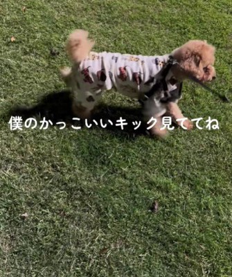 「見て見て！」
