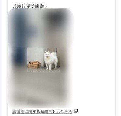 愛犬の可愛い姿が♡
