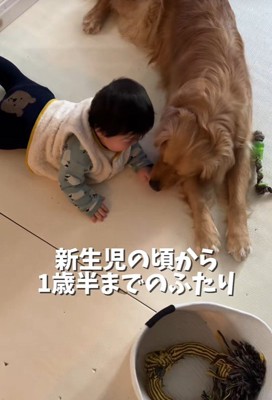 本当の兄弟のよう！