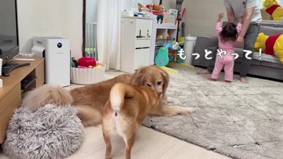 微笑ましい光景にホッコリ