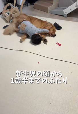 「構って！」「ちょ、やめて～」