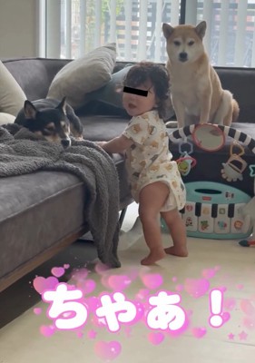 ママの方を見る息子さん