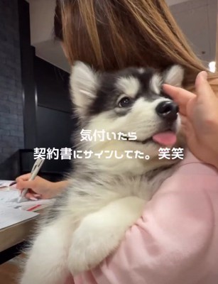 パパに内緒で家族に迎えることに