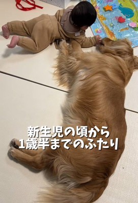 赤ちゃんのそばでゴロゴロ