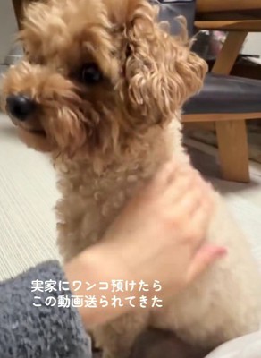 お母さんから一本のLINE