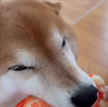 目