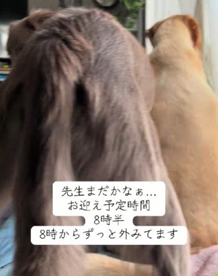 ハルちゃんも一緒にソワソワ