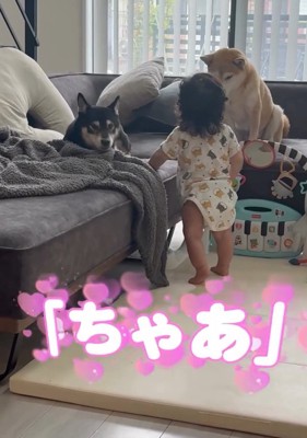 ちゃあと呼ぶ息子さん