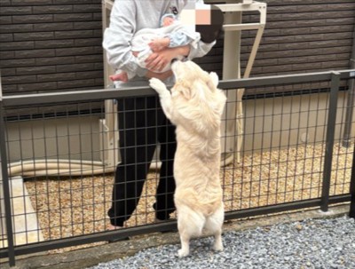 ご挨拶