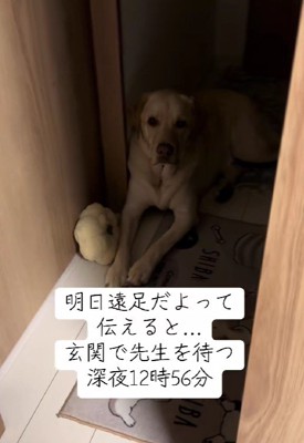 楽しみで眠れない…