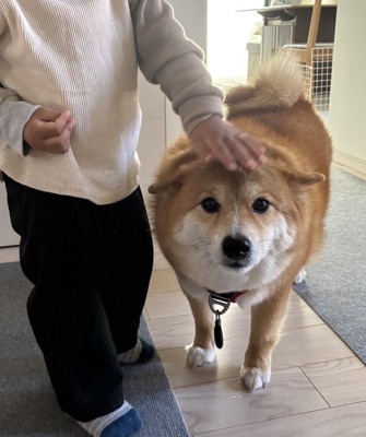 息子