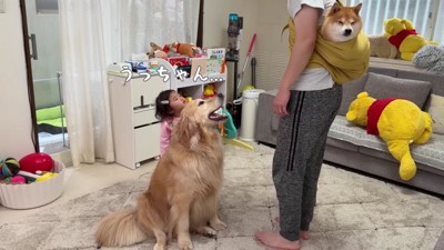 パパにスリングで抱っこされていた