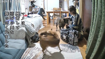 とっても嬉しそう♪