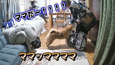 感動の再会！