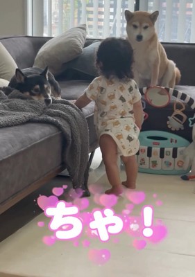 もう一度名前を呼ぶ息子さん