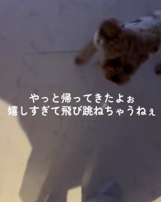 愛情が溢れて止まらない！
