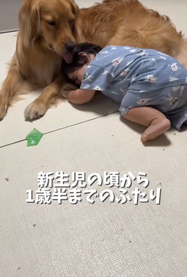 ピノくんに甘える赤ちゃん♡