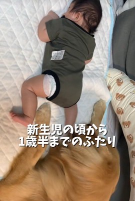 赤ちゃんが生まれた時から一緒