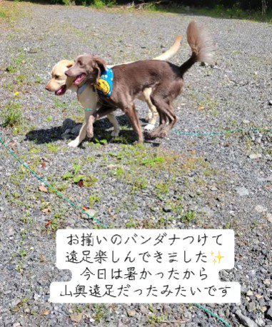 遠足を満喫♪