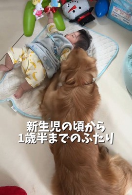 「いつも僕が見守っているよ♪」
