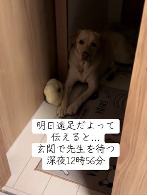 深夜から玄関で待機