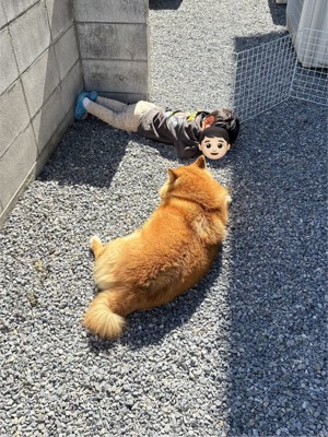 一緒に