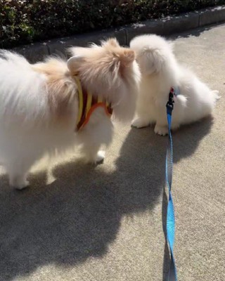 まぐまぐちゃんを気遣うことも
