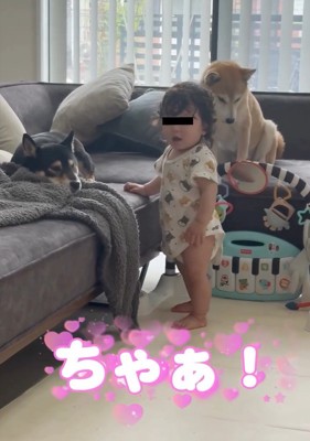 何度も名前を呼ぶ息子さん