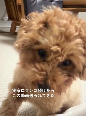 お母さんにデレデレ♡