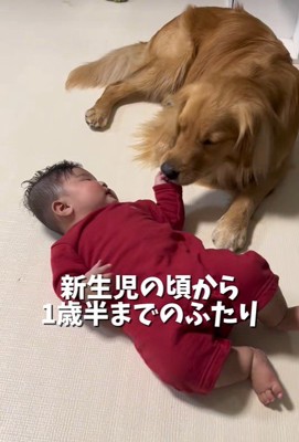優しくペロペロ♡