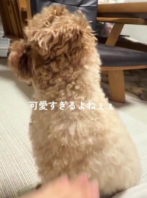 ナデナデが止まると…