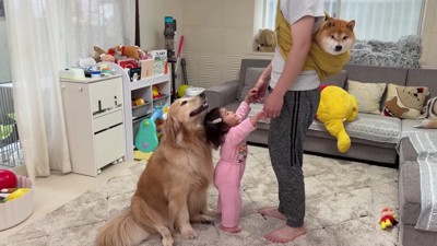 「ほのも抱っこして!」