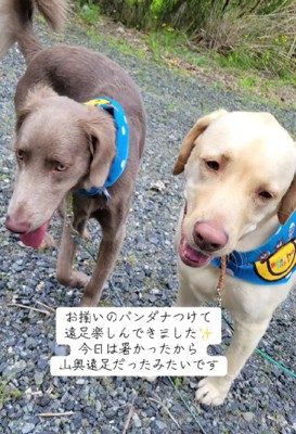 自然いっぱいの山奥