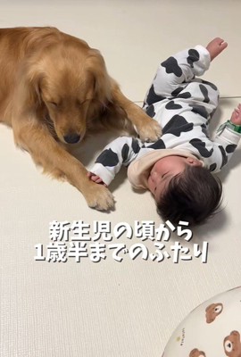 子守りをしながらウトウト…