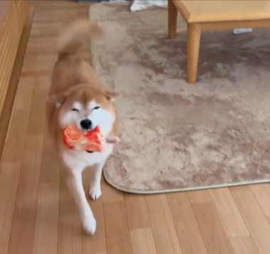 ニコニコ