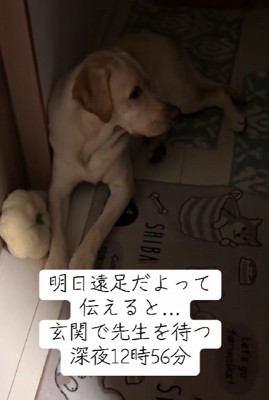 「お迎えはまだかな？」