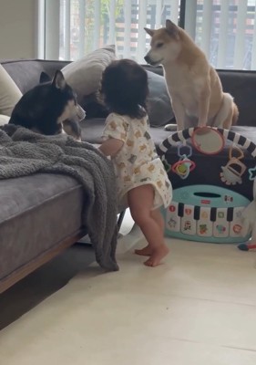 仲良しの三人