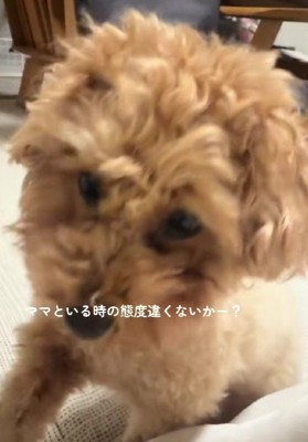 何度でも催促♡