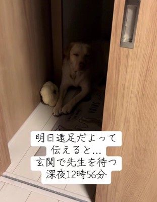 明日は遠足！！