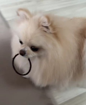 そばに座ると…