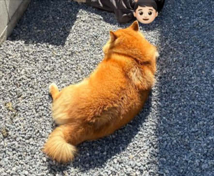寝転がる
