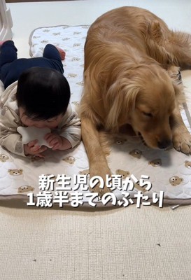 仲良く並んでまったり♪