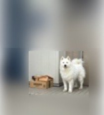 「ちゃんと届きました！」