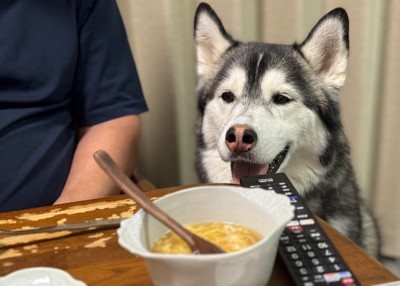 食事中もお行儀よく♪