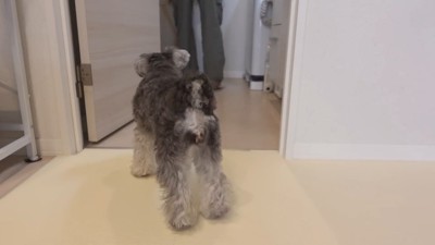 朝から家事で大忙し！