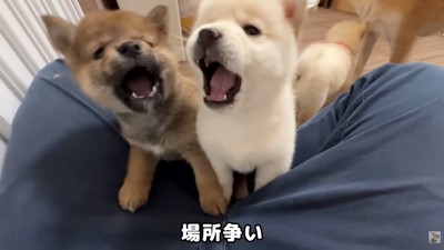 第2回戦開始！